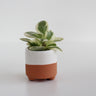 Ceramic and Concrete Footed Cylinder 3"