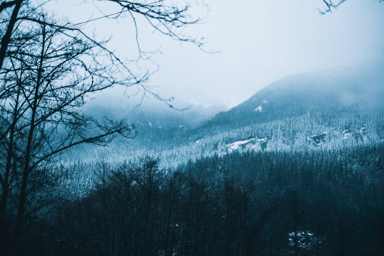 Winter Blues