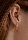 Tortis Earrings