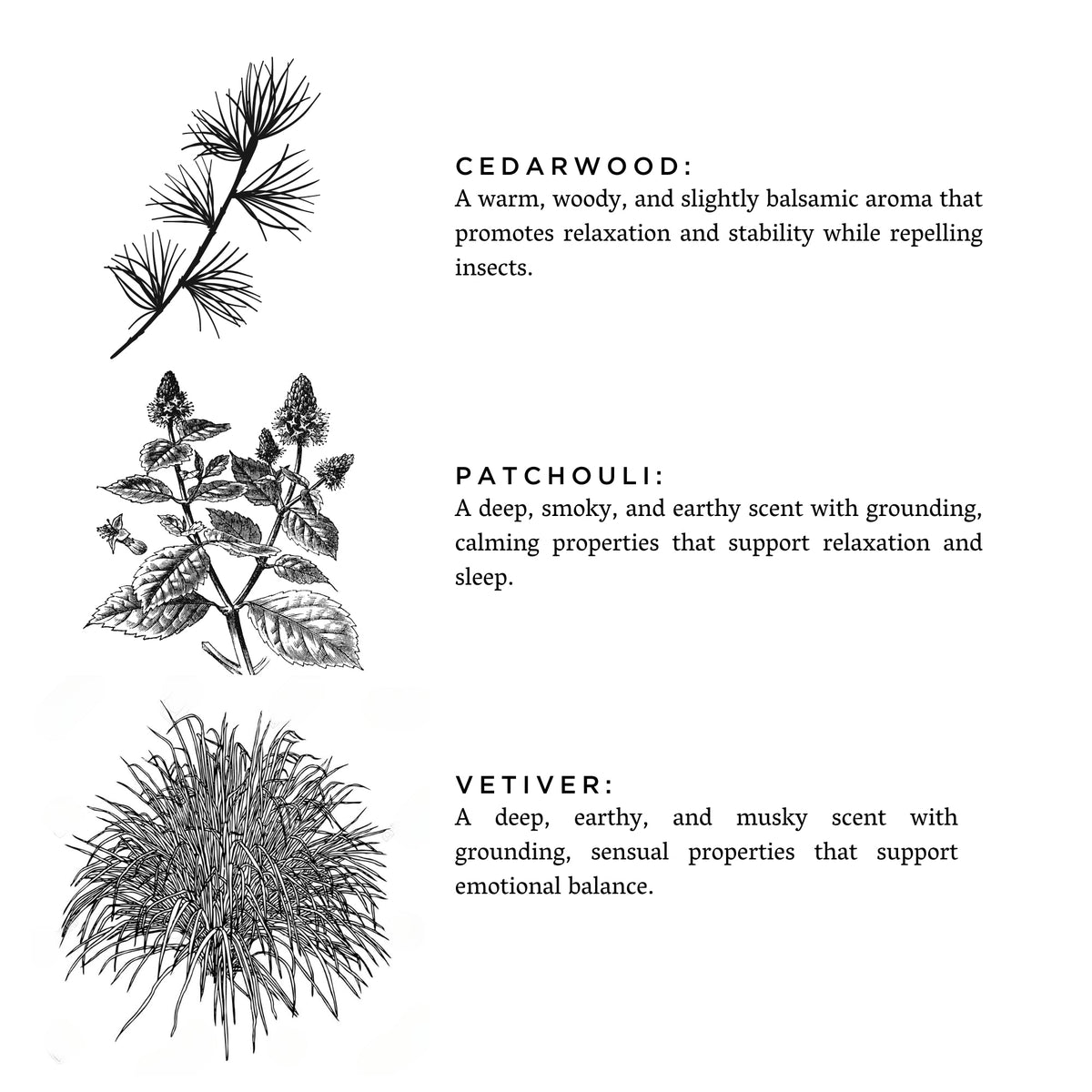Embers + Leather - Signature Candle (Vetiver + Cedar + Patchouli) by Slow North – view 3
