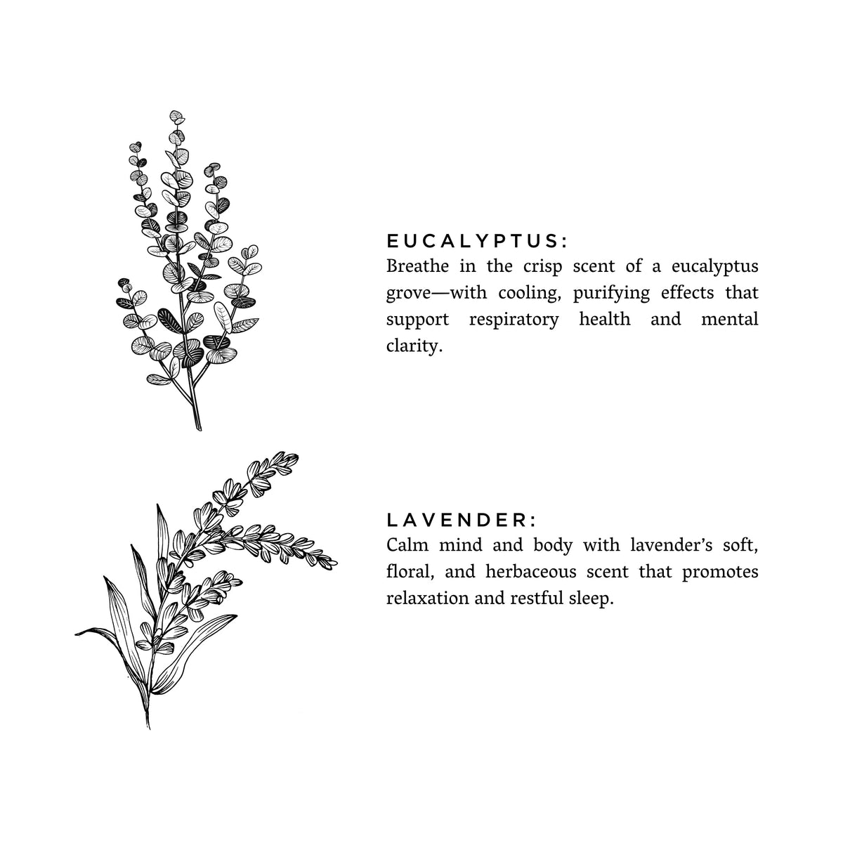Eucalyptus + Lavender - Signature 3-Wick Candle by Slow North – view 3