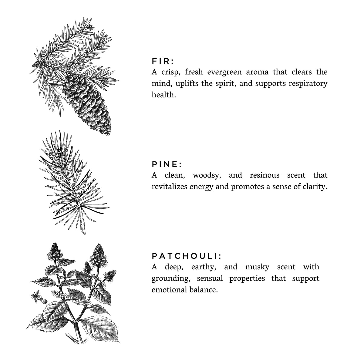 Forest Bathing - Signature 3-Wick Candle by Slow North – view 3