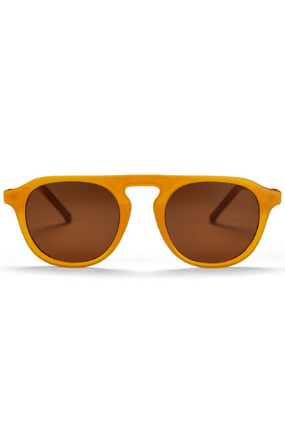 Chpo Brand Hudson Sunglasses Golden Brown Man