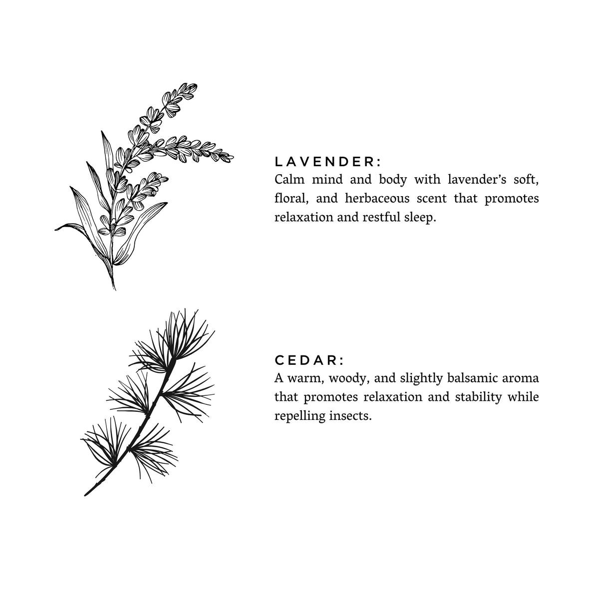 Lavender + Cedar - Signature 3-Wick Candle by Slow North – view 3