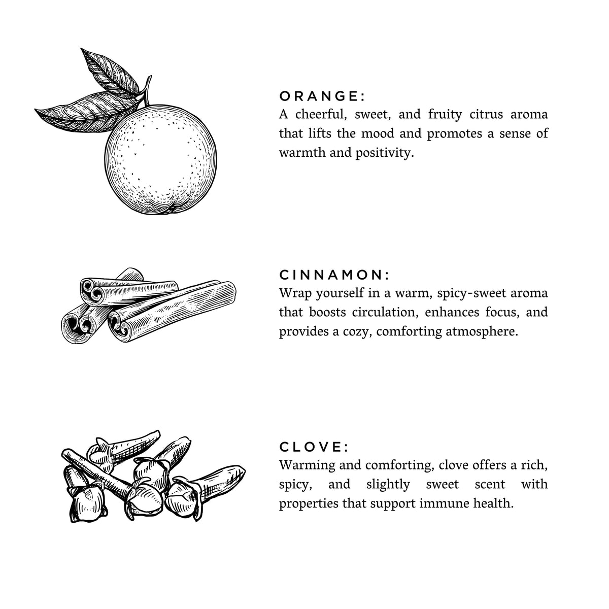 Orange + Clove - Signature Soy Candle by Slow North – view 3