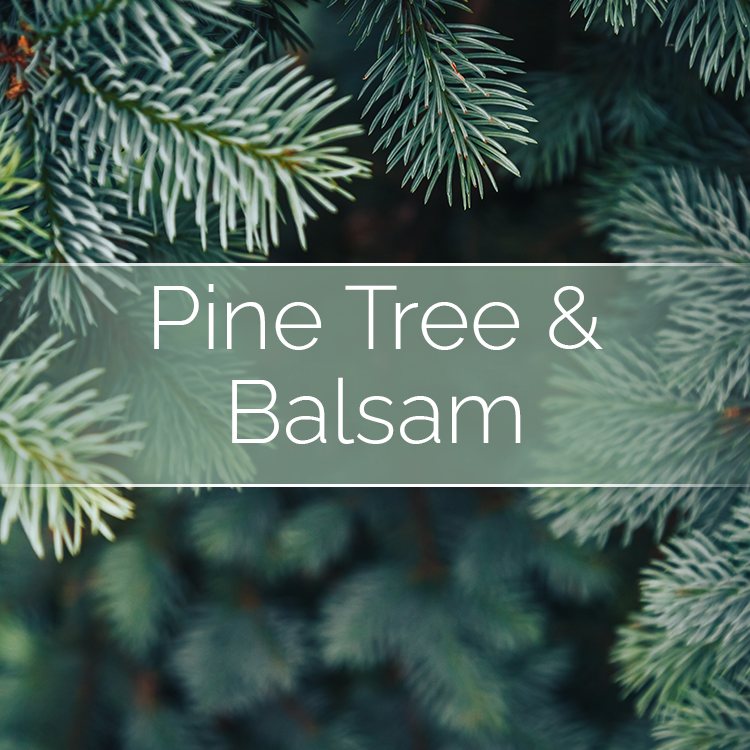 Pine Tree & Balsam - Candle Making Kit by Phoenix Wick – view 4