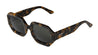 High Contrast Tortoise Sagene with Classical Lenses