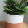Terracotta and Matte White Footed Boho Minimal Planter Pot